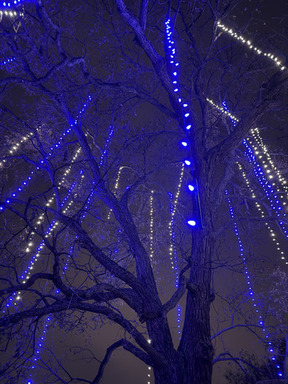 Holidays at the Heard